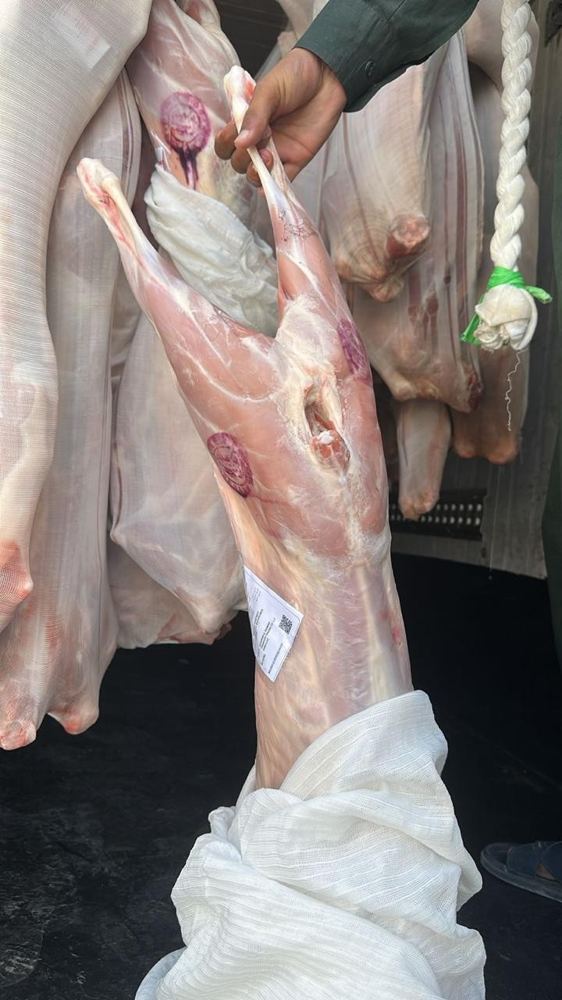Mutton and lamb